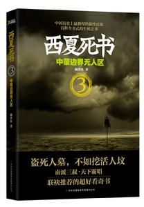 《西夏死書3》