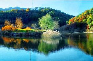 六里坪國家森林公園