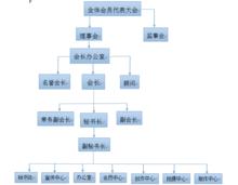 四川省微電影藝術協會組織構架圖