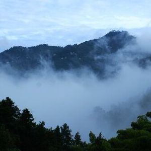三角山國家森林公園