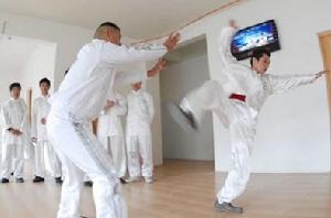 宿鶴拳