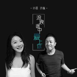 流浪途中愛上你[葉蓓演唱歌曲]