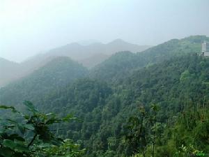 歌樂山國家森林公園