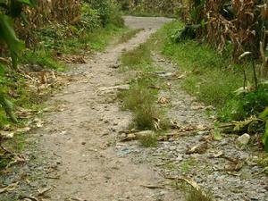 石龍自然村道路