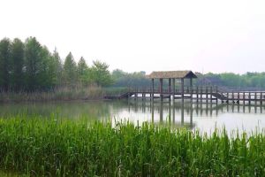 蘇州太湖國家濕地公園