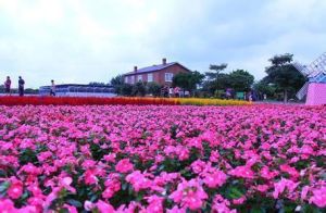 玫瑰公園[北京公園]