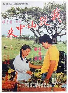 我從山中來[1980年王時政執導的台灣電影]