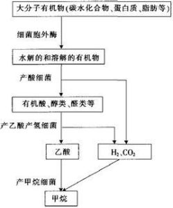 厭氧生物處理