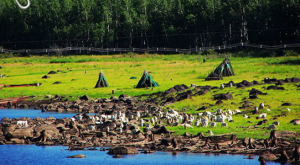 湯旺河生物資源