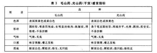 表3 毛山藥、光山藥（乾貨）感官指標