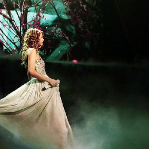 Enchanted在Speak Now Tour中的表演圖