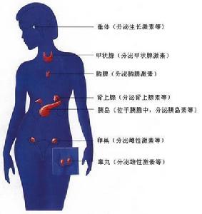 內分泌失調