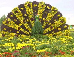 龍馬花園馬術俱樂部