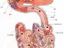 十二指腸淤積症