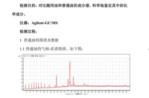 檢測報告1