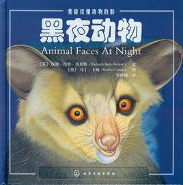 黑夜動物