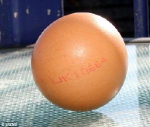 圓雞蛋