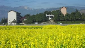 黃茅園鎮中學