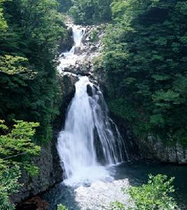 九龍山國家森林公園