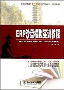 ERP沙盤模擬實訓教程[鈕立新著圖書]