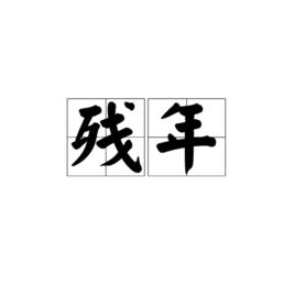 殘年[漢語詞語]