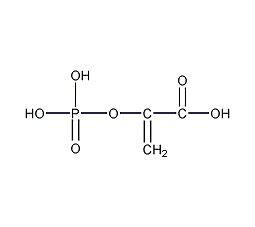 PEP[烯醇式丙酮酸磷酸]