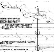 極限寬指標