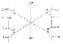 紫色絡合物分子結構式