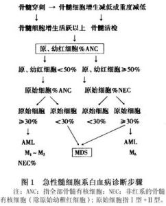 （圖）兒童急性淋巴細胞性白血病