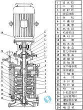 不鏽鋼立式多級泵結構圖