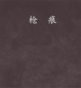 槍痕[槍痕是槍道天君假創作的網路小說]