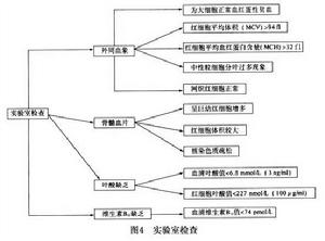 妊娠合併巨幼紅細胞性貧血