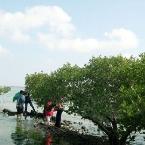 東海島國家森林公園