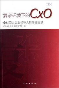 複雜環境下的CXO：全球頂尖企業領導人的商業智慧