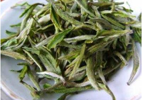 仙人掌茶