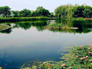 江蘇東湖濕地公園