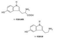 胺多酚