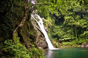 天馬山生態旅遊區