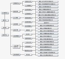 三環集團組織結構