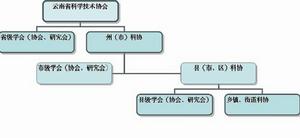 組織系統