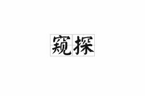 窺探[詞語解釋]