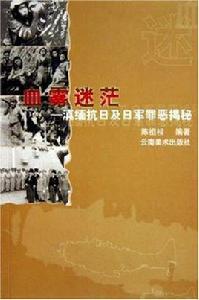 血霧迷茫：滇緬抗日及日軍罪惡揭秘