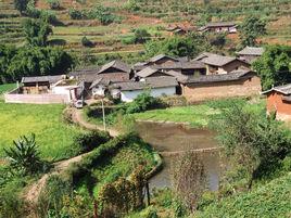 坪子村[雲南省昭通昭陽區蘇家院鄉坪子村]