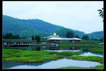 雙龍橋村[四川省南充市西充縣鳳鳴鎮下轄村]