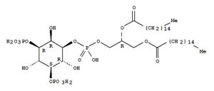 磷脂醯二磷酸肌醇