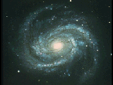 M100