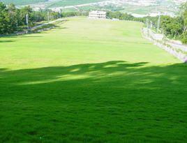 紅山森林公園[內蒙古赤峰市紅山森林公園]