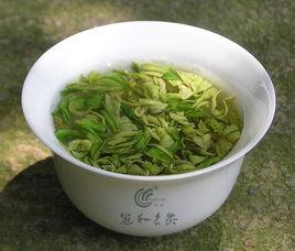 嶺頭白葉茶