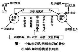 個體學習