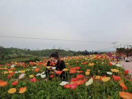 盛世花都[重慶古路盛世花都景區]